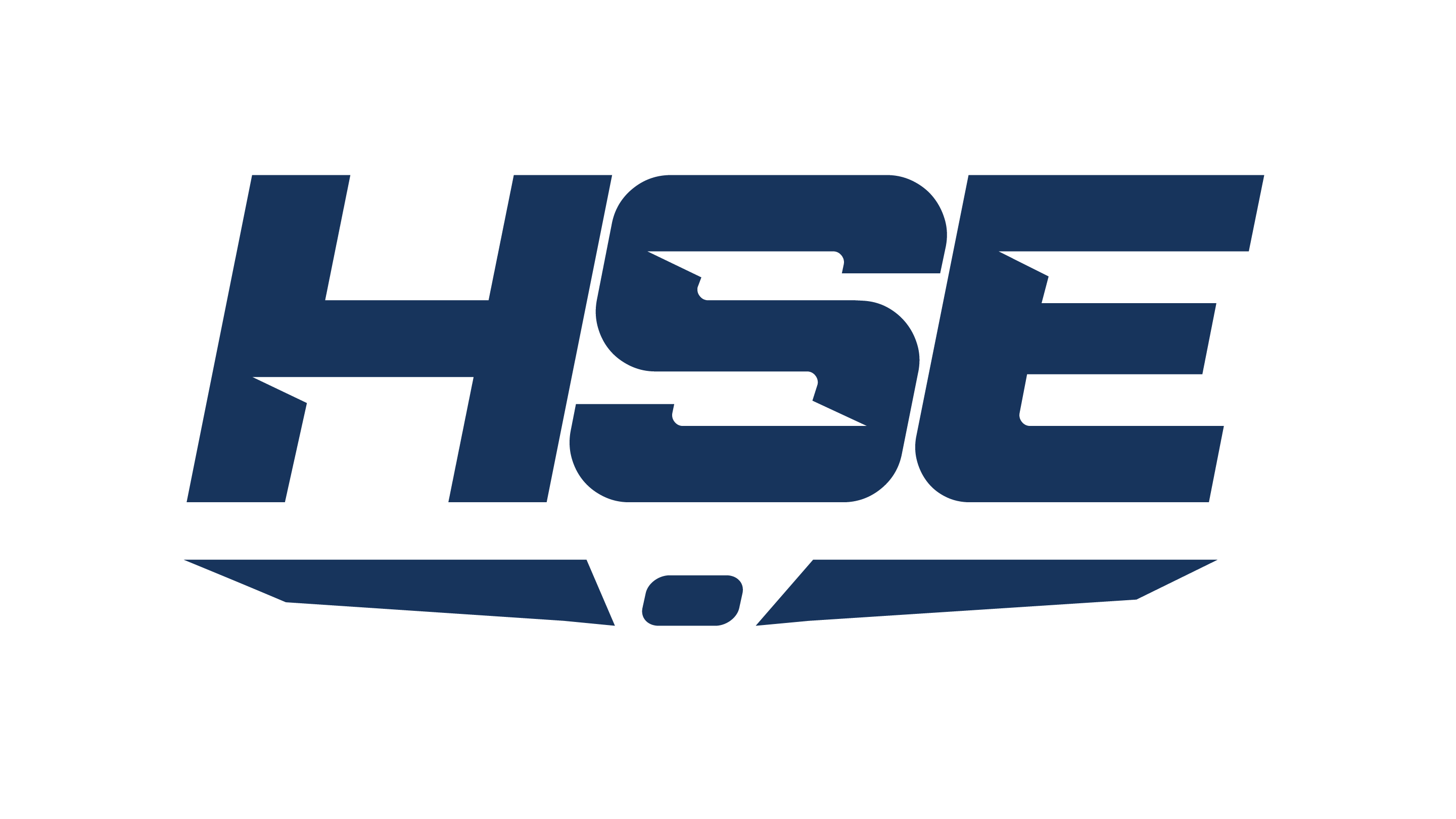 Logo Commercial and crop spraying drones for sale by hse-uav 